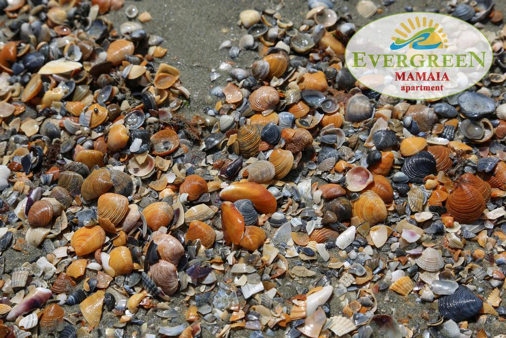 Evergreen Vlas Mamaia Sud Dış mekan fotoğraf